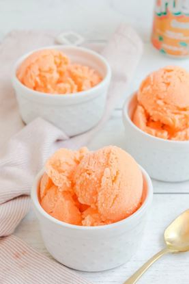 Picture of HOUSE- ORANGE SHERBET